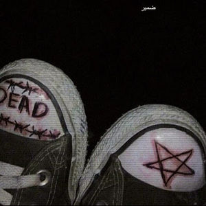 Meet your Posher, Mia